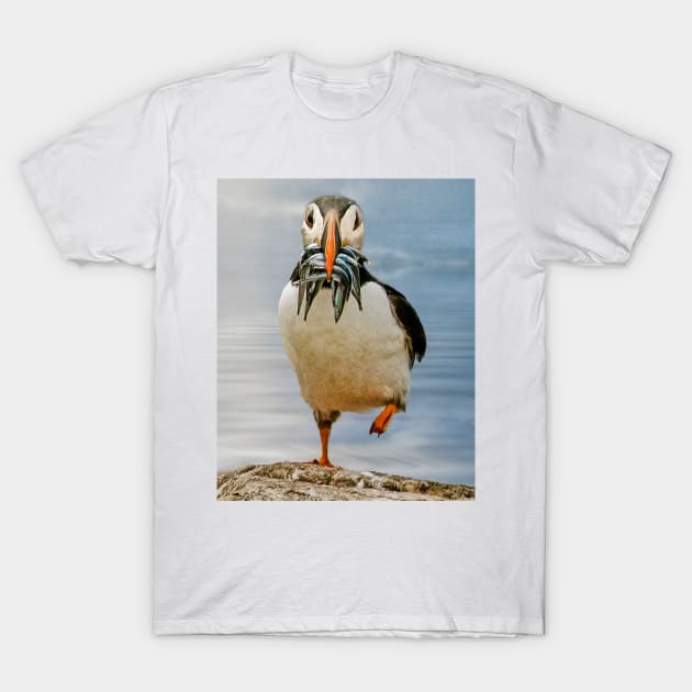 Happy feet T-Shirt by Tarrby